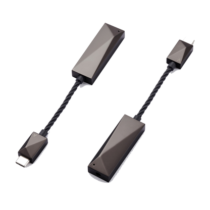 Astell & Kern USB-C Dual DAC Cable