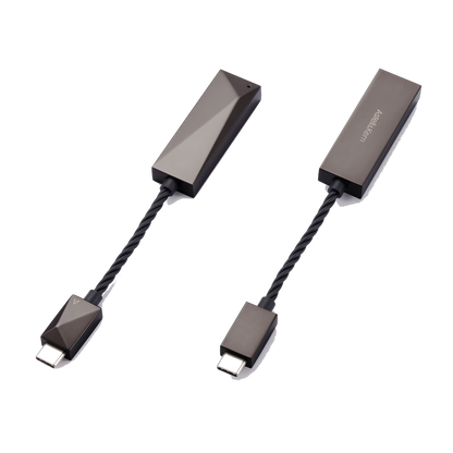 Astell & Kern USB-C Dual DAC Cable