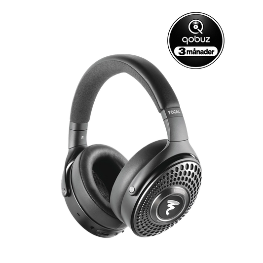 Focal Bathys MG, Graphen Grey (3 månader Qobuz)